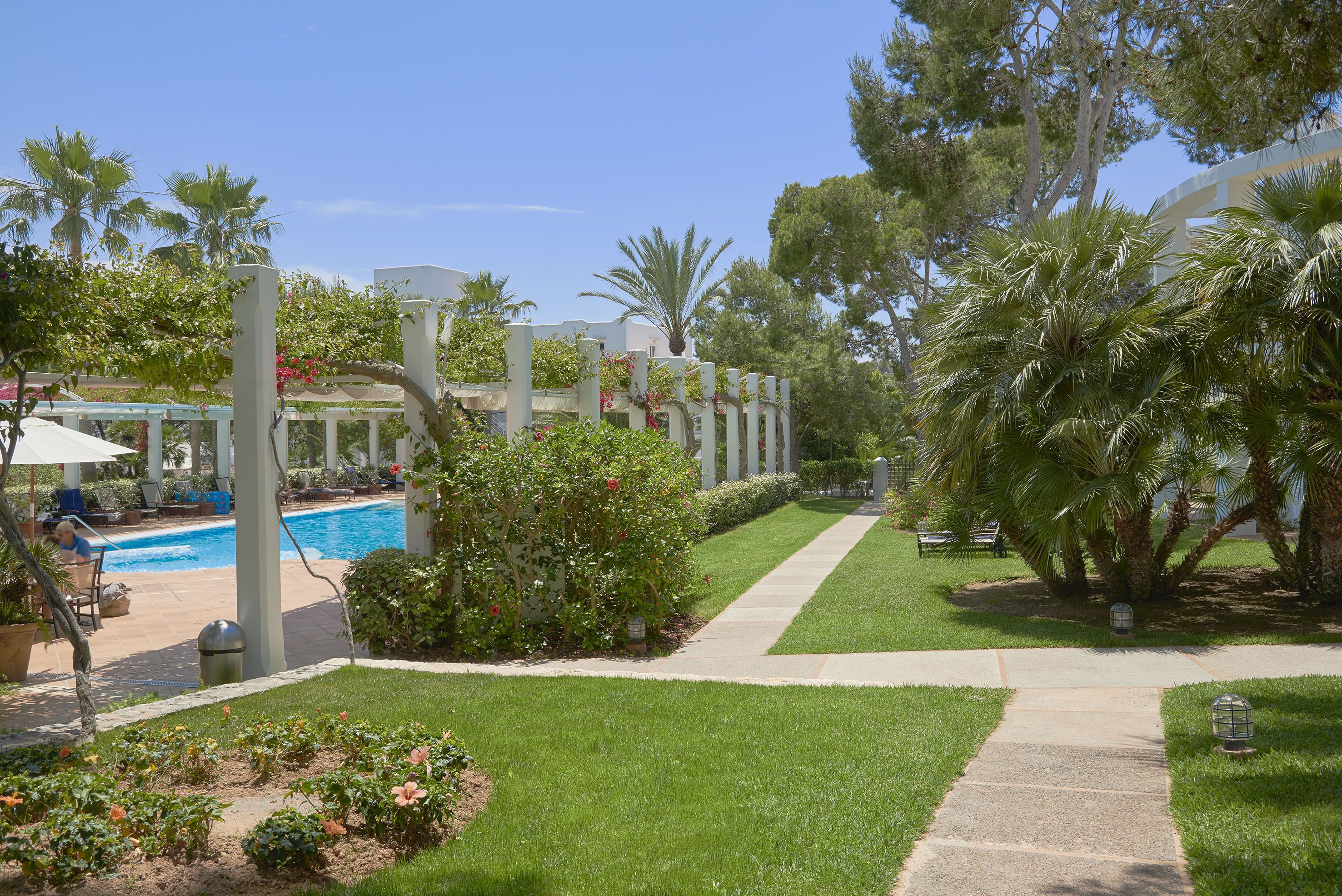 A pool area with a clear sky, palm trees, and a well-maintained lawn.