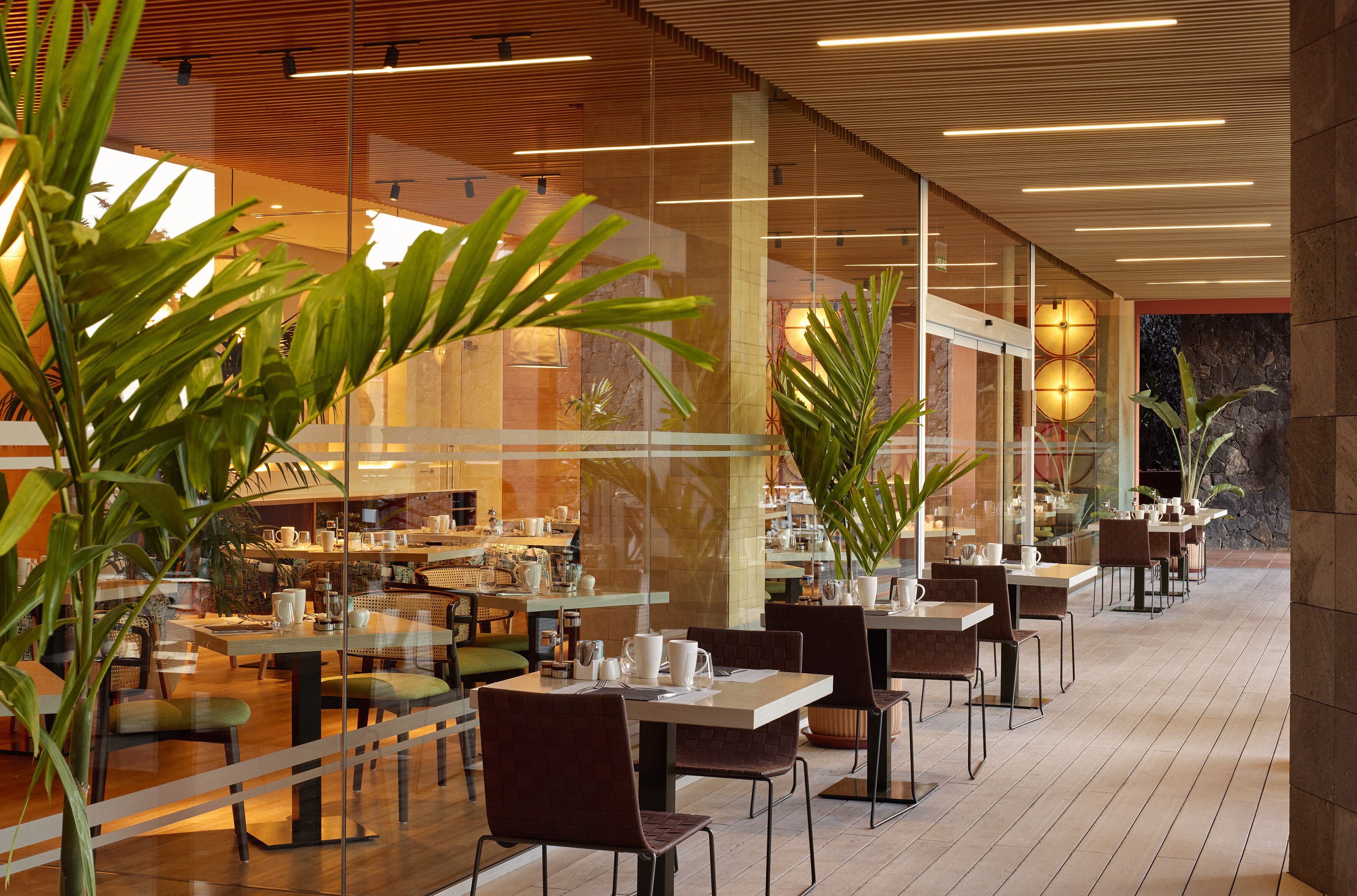 A spacious cafe with multiple tables and chairs, large windows, and indoor plants.