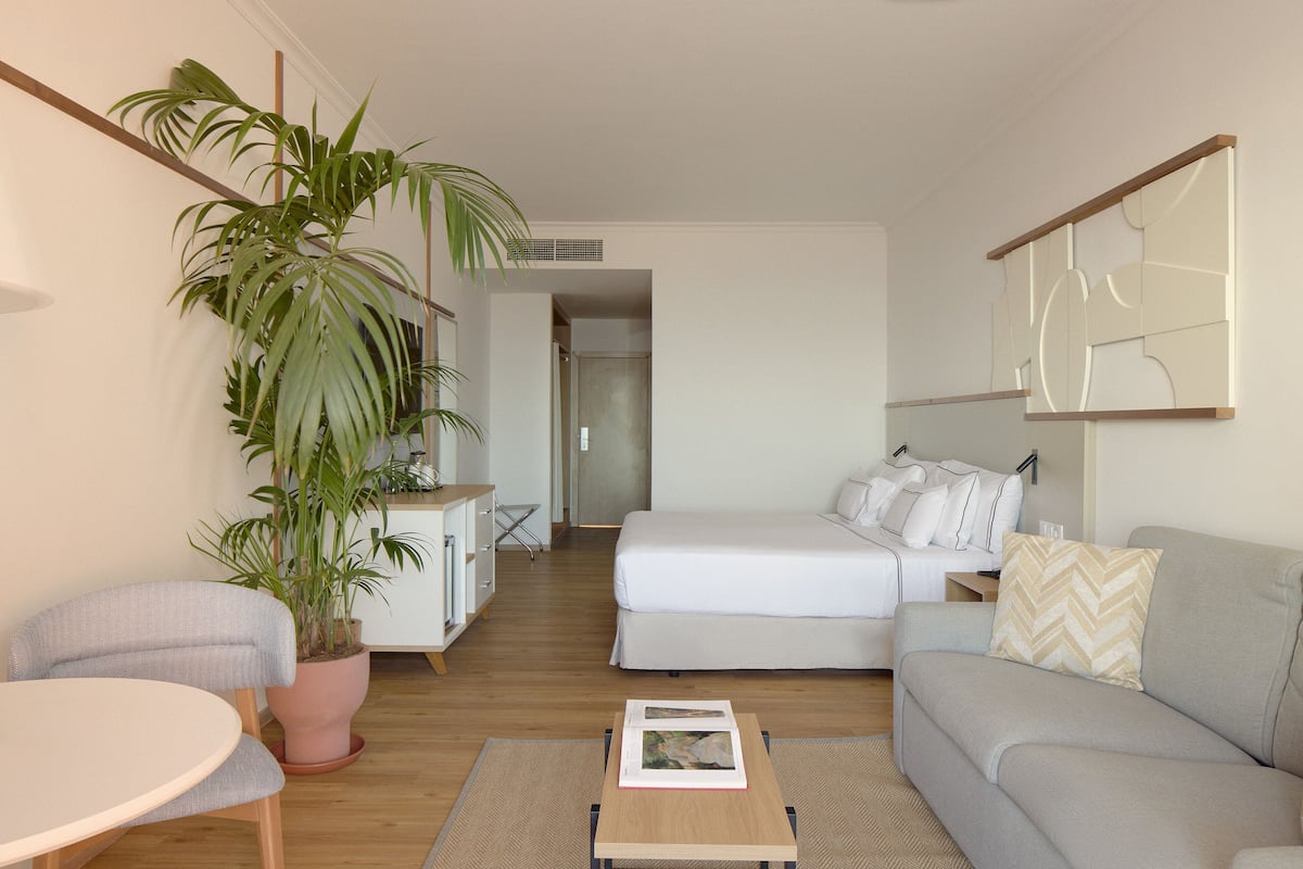 A modern, well-lit room with a bed, a sofa, a dining table, and a large potted plant.