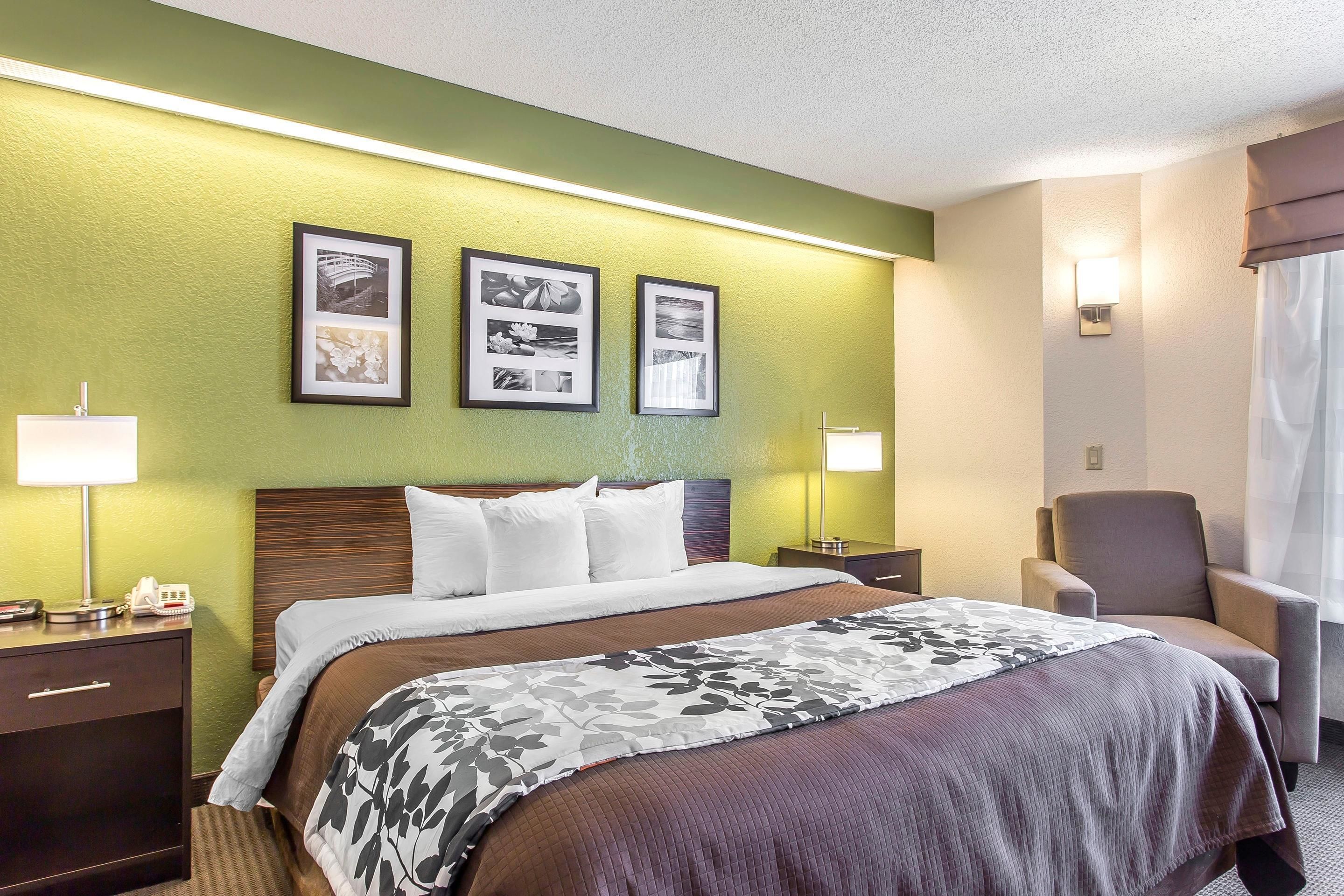 Standard Room, 1 King Bed, Non Smoking | Individually decorated, individually furnished, desk, blackout drapes