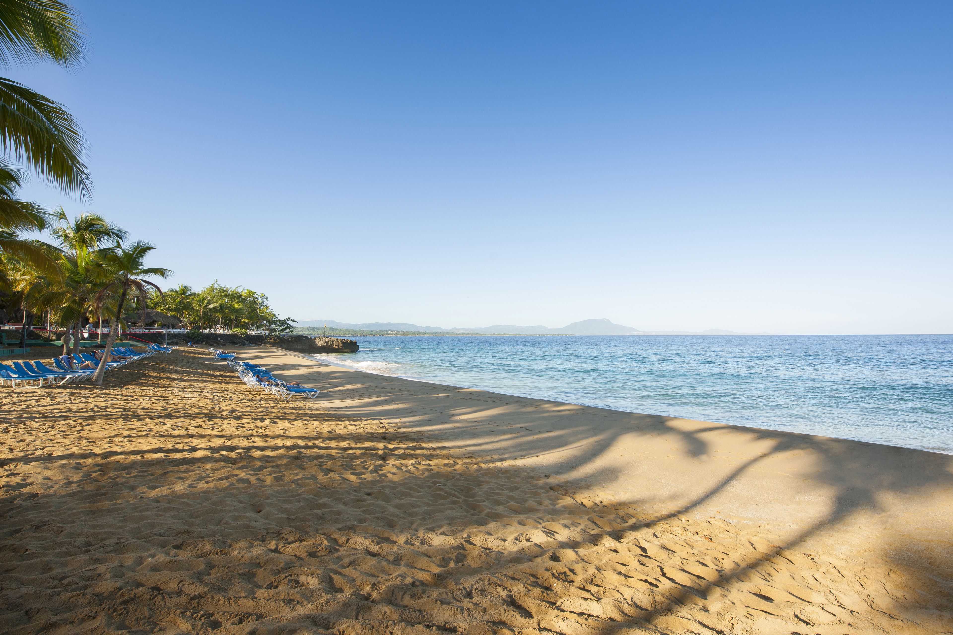 A beach with blue lounge chairs and palm trees, a clear sky, and a calm sea.