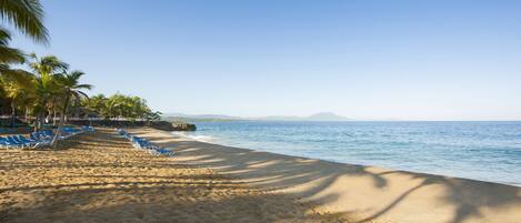 A beach with blue lounge chairs and palm trees, a clear sky, and a calm sea.