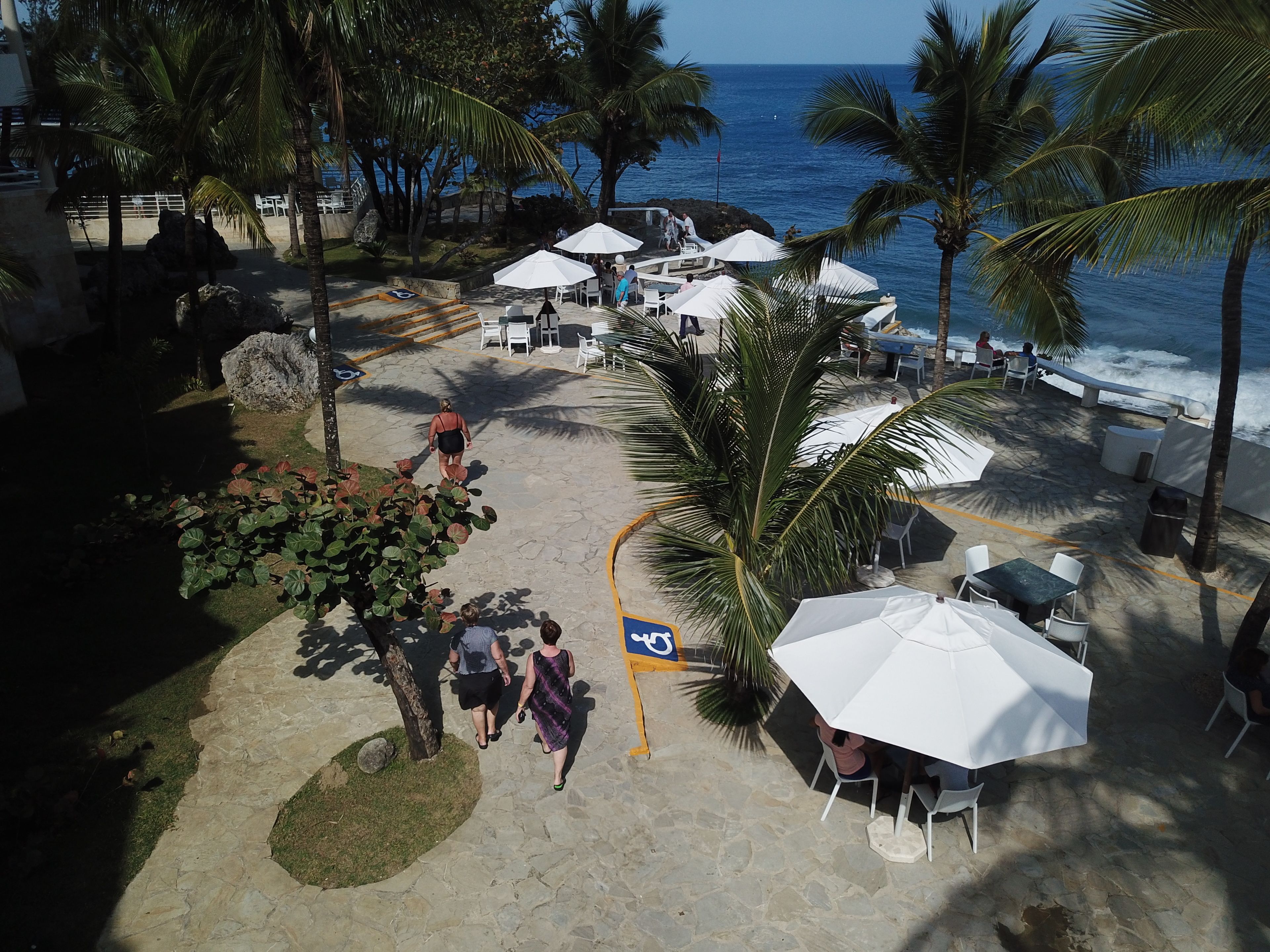 A beachfront area with outdoor seating, palm trees, and a view of the ocean.