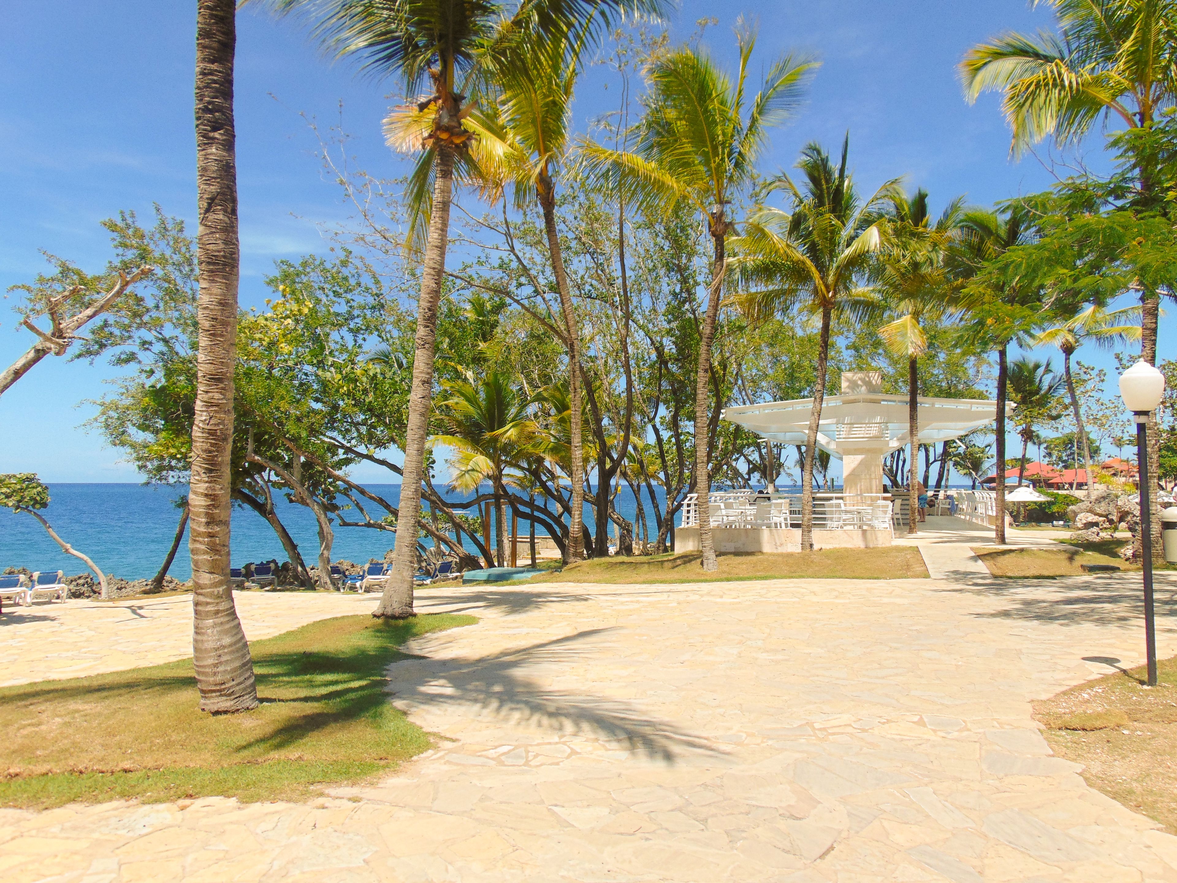 A beachside resort with palm trees, a covered seating area, and a view of the ocean.
