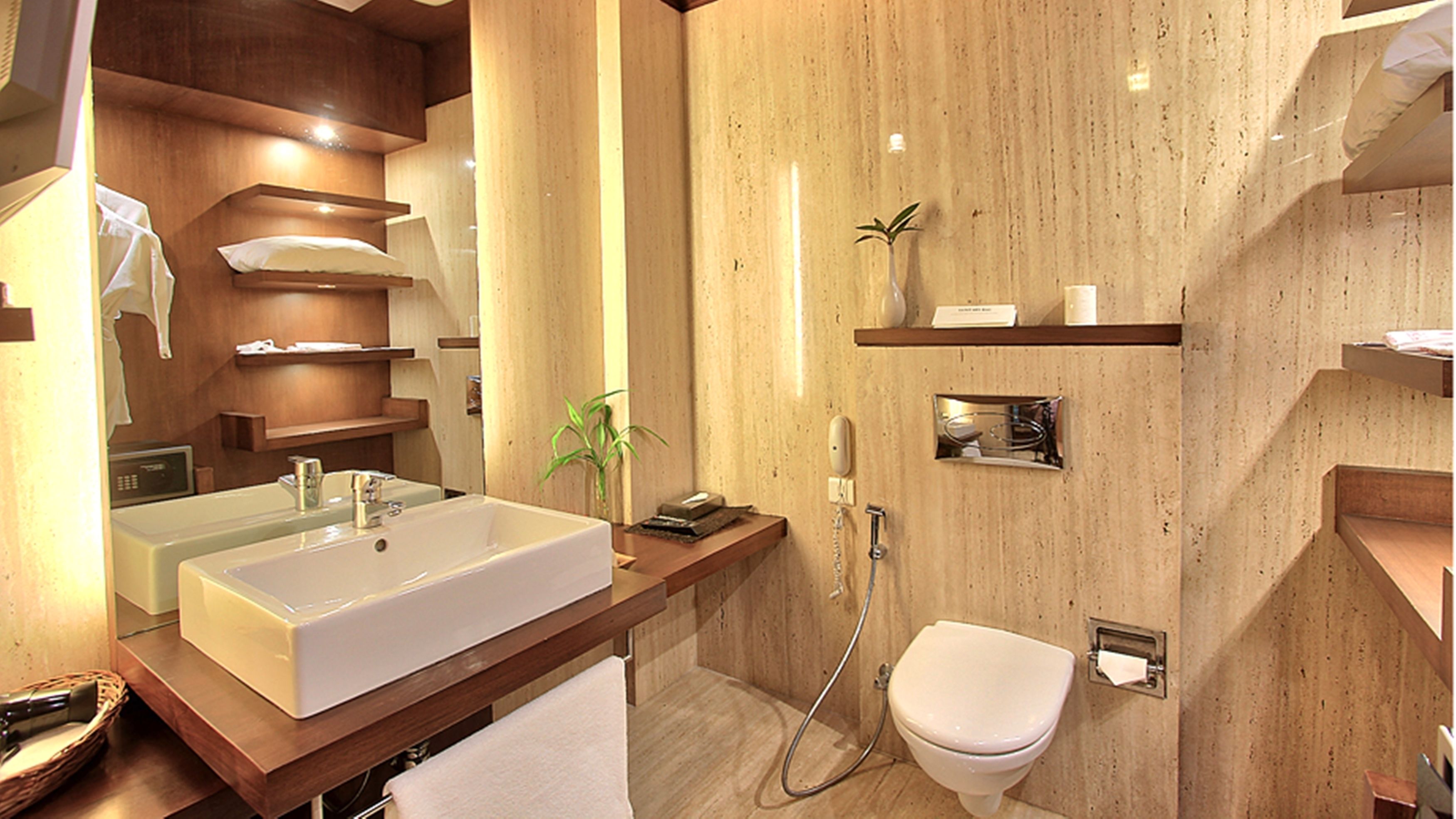 A modern bathroom with a large sink, a toilet, and a shower. There are wooden shelves and a mirror.