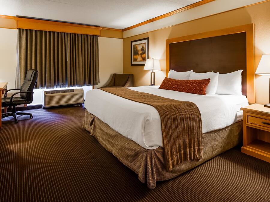 Suite, 1 King Bed, Non Smoking, Kitchenette (Shower Only;with Sofabed) | In-room safe, blackout drapes, soundproofing, iron/ironing board