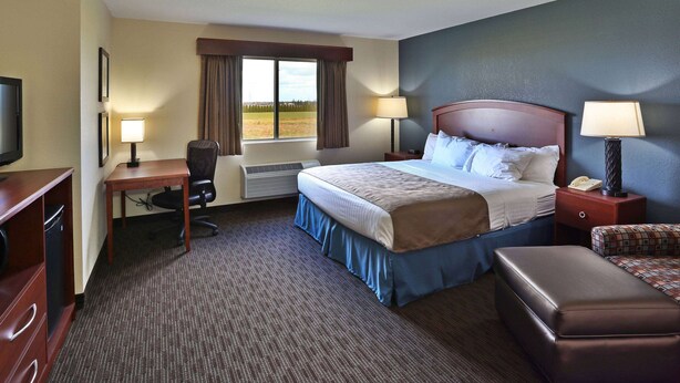 A hotel room with a bed, desk, chair, and a television.