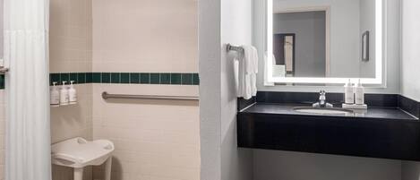 Un baño con ducha, inodoro, lavabo y espejo.
