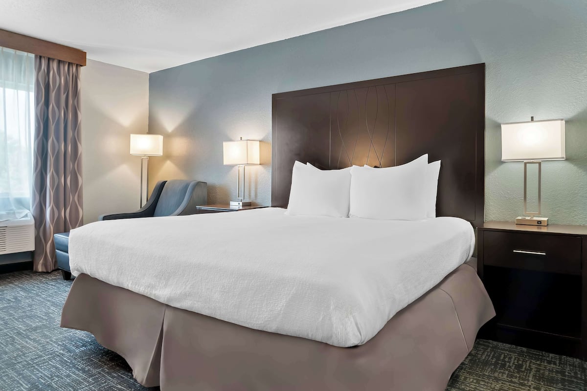 Standard Room, 1 King Bed, Non Smoking, Refrigerator & Microwave | Laptop workspace, iron/ironing board, free cribs/infant beds