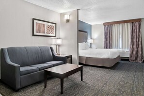 Standard Room, 1 King Bed, Non Smoking, Kitchenette (with Sofabed) | Laptop workspace, iron/ironing board, free cribs/infant beds