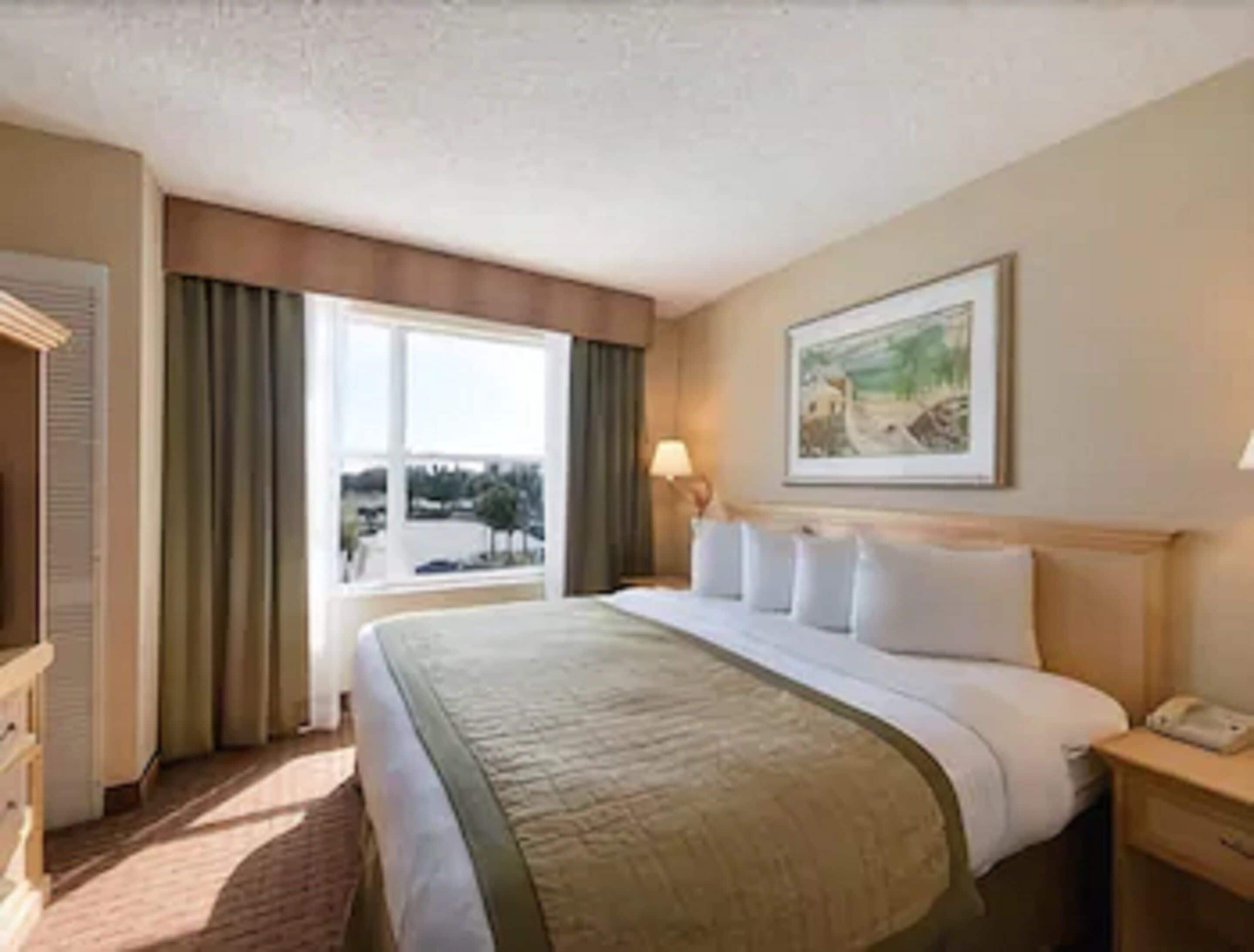 standard room, 1 king bed | desk, iron/ironing board, free wifi, bed sheets