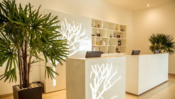 A reception area with a modern design, featuring a white reception desk, a potted plant, and a shelf with various decorative items. - Fiesta Inn Periferico Sur (Mexico City)