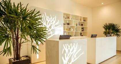 Fiesta Inn Periferico Sur