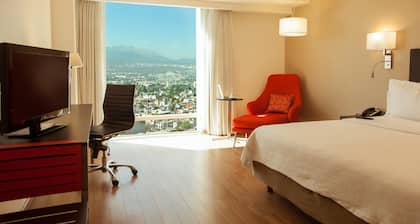 Fiesta Inn Periferico Sur