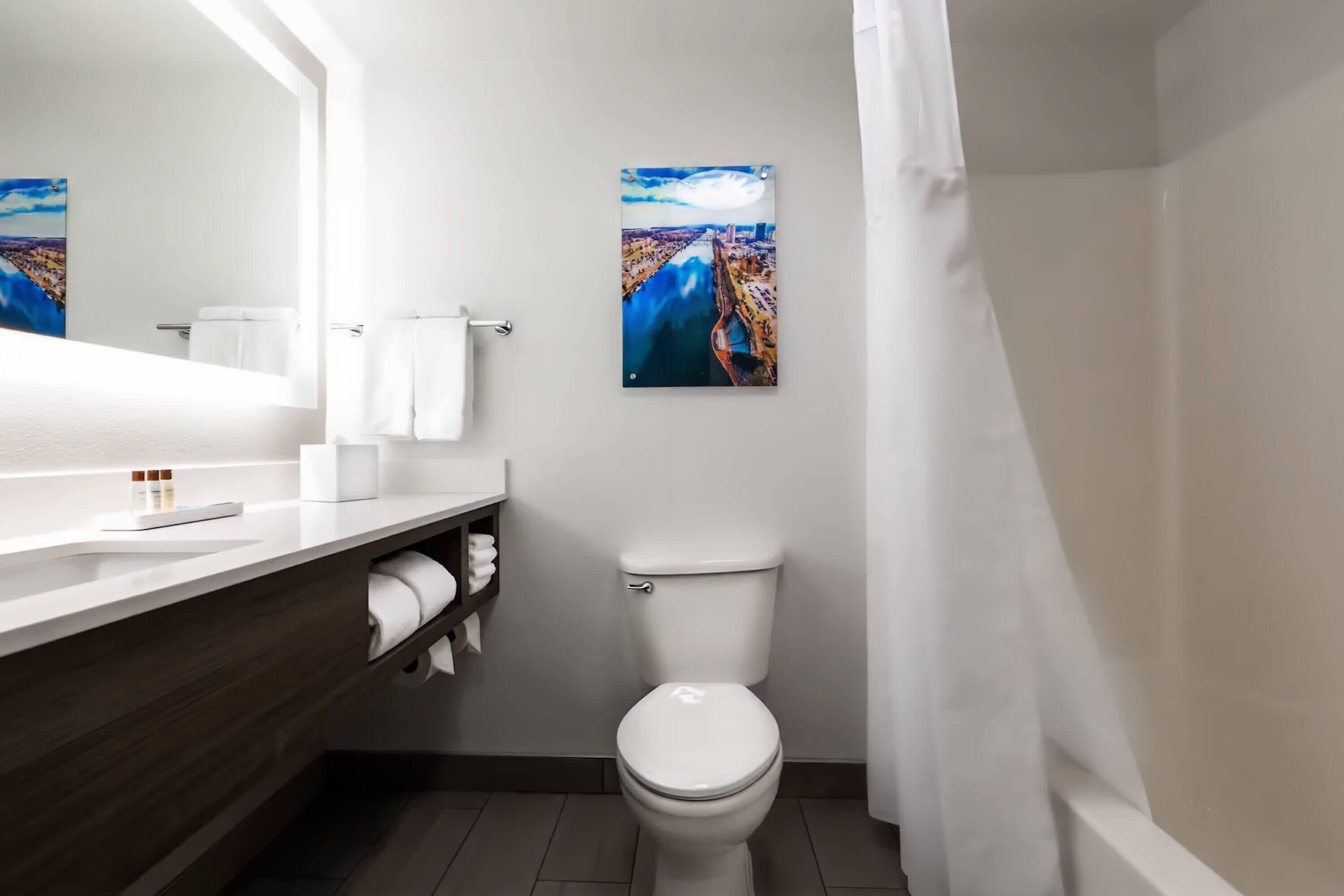 Een moderne badkamer met een wit toilet, een houten wastafelmeubel en een grote spiegel. Er hangen twee afbeeldingen in lijsten aan de muur, en een douchegordijn is gedeeltelijk zichtbaar.