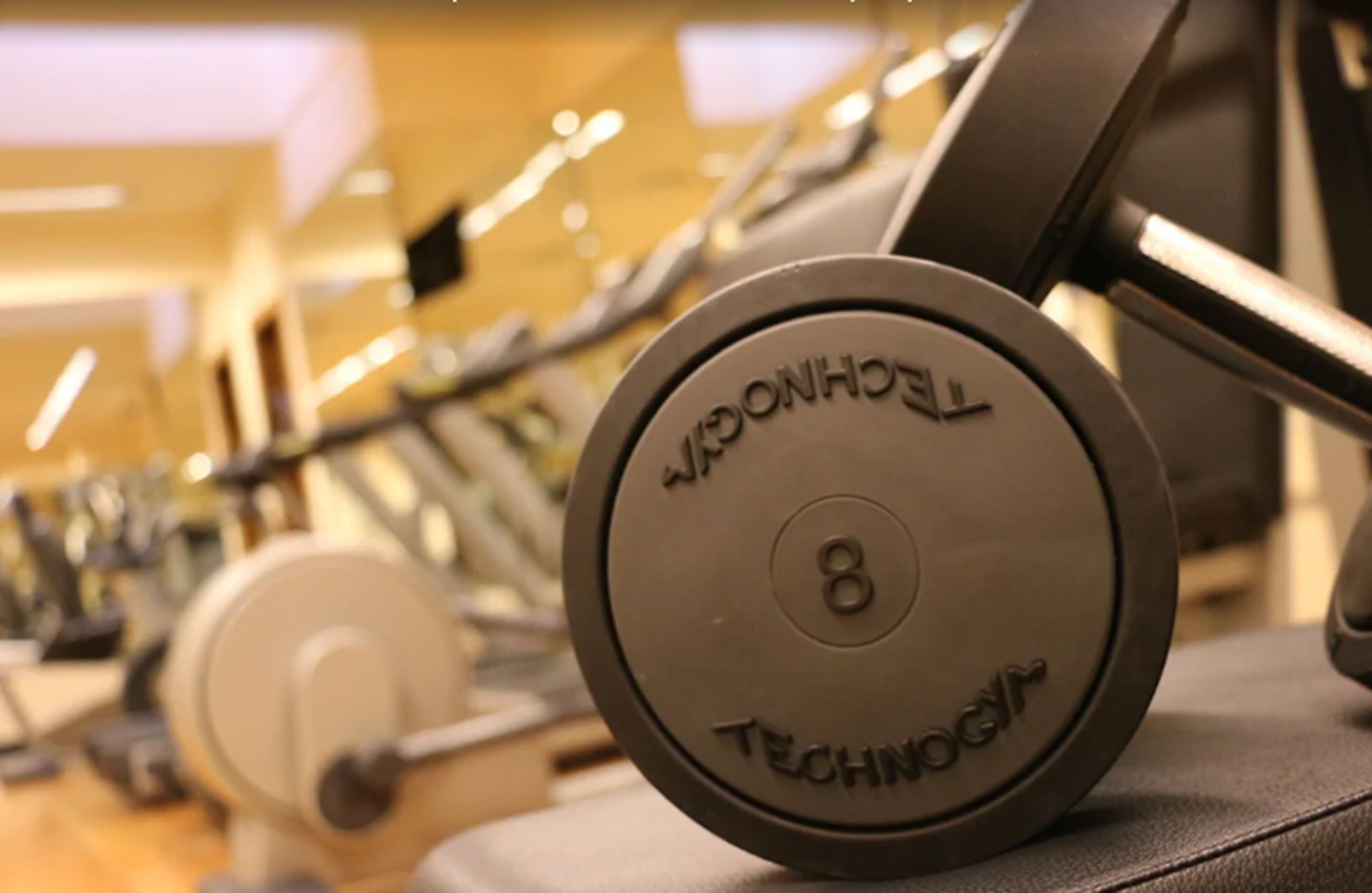 A weightlifting bench with a weight plate labeled "TECHNOGYM" and the number "8".