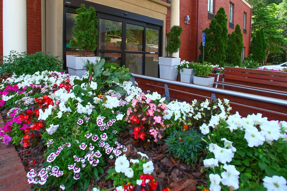 Holiday Inn Express Atlanta - Emory University Area by IHG