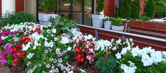 Holiday Inn Express Atlanta - Emory University Area by IHG