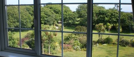 Una ventana con vista a un jardín exuberante y árboles.