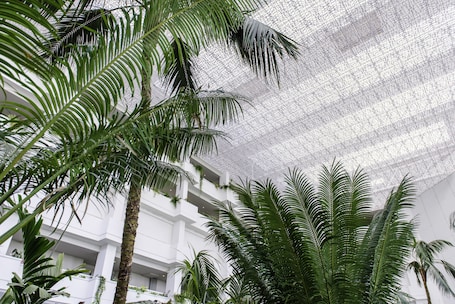 Detalle interior. Spring Hotel Vulcano