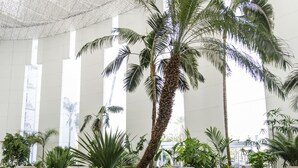Un vestíbulo amplio con techo alto, ventanas grandes y una variedad de plantas, entre ellas palmeras.