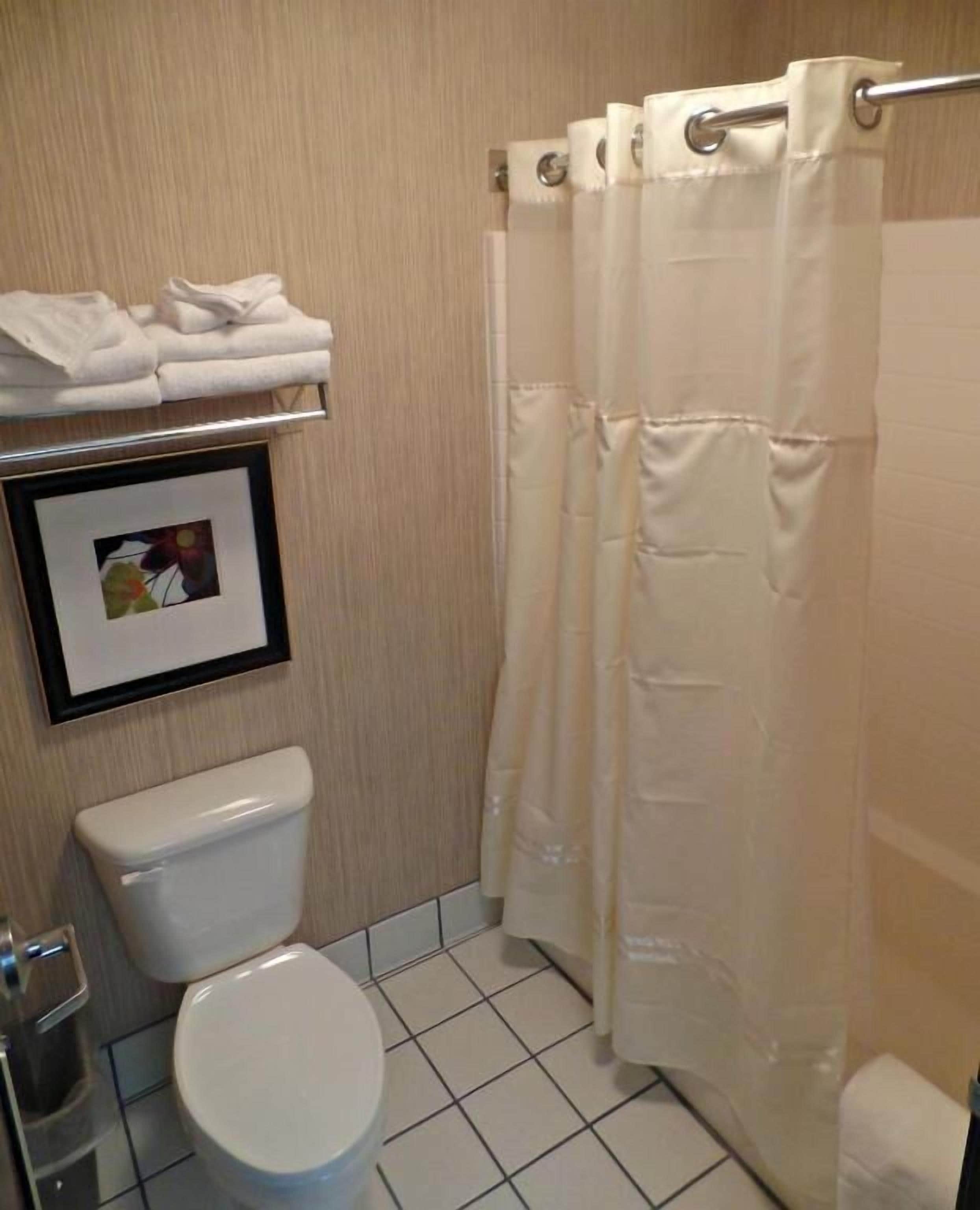 combined shower/bathtub, free toiletries, hair dryer, towels