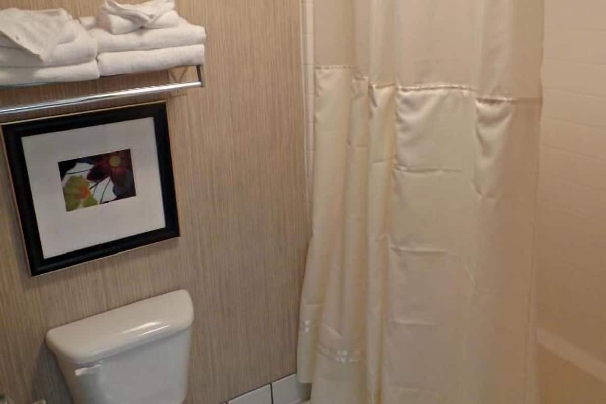 combined shower/bathtub, free toiletries, hair dryer, towels