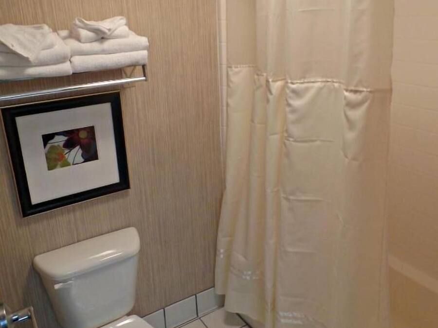 A bathroom with a toilet, a framed picture on the wall, and a shower curtain.
