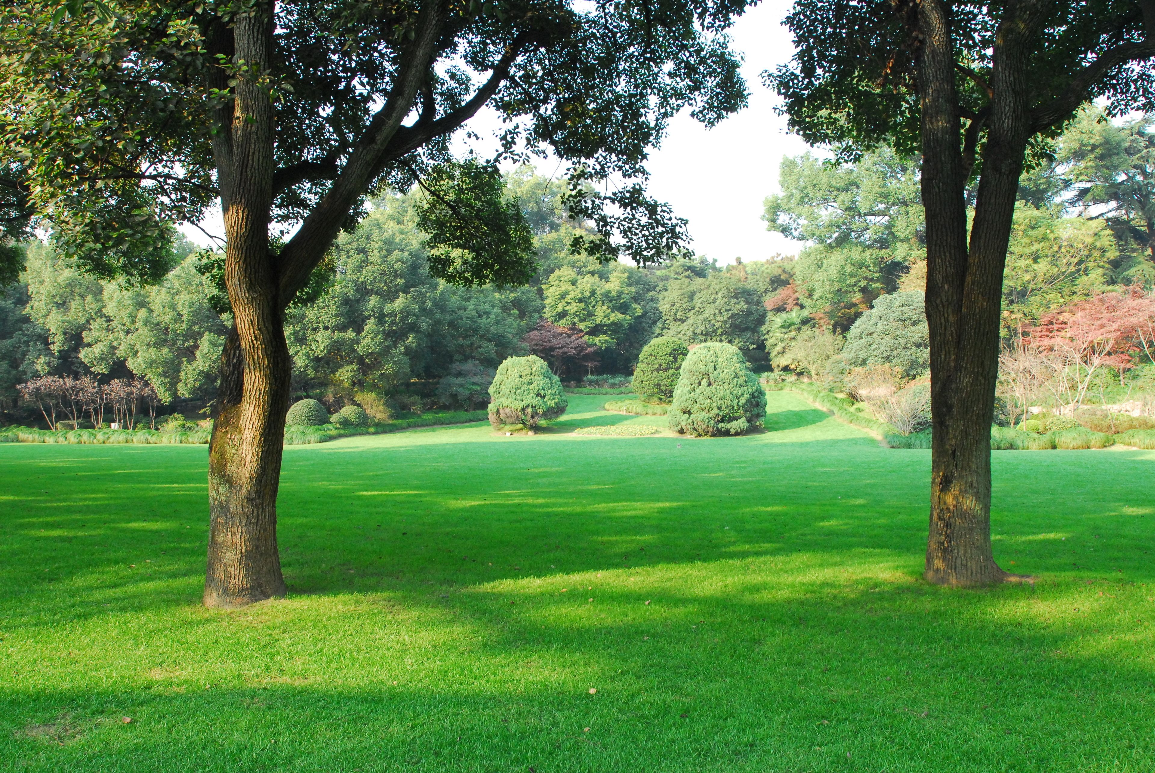 Foto - Xijiao State Guest Hotel