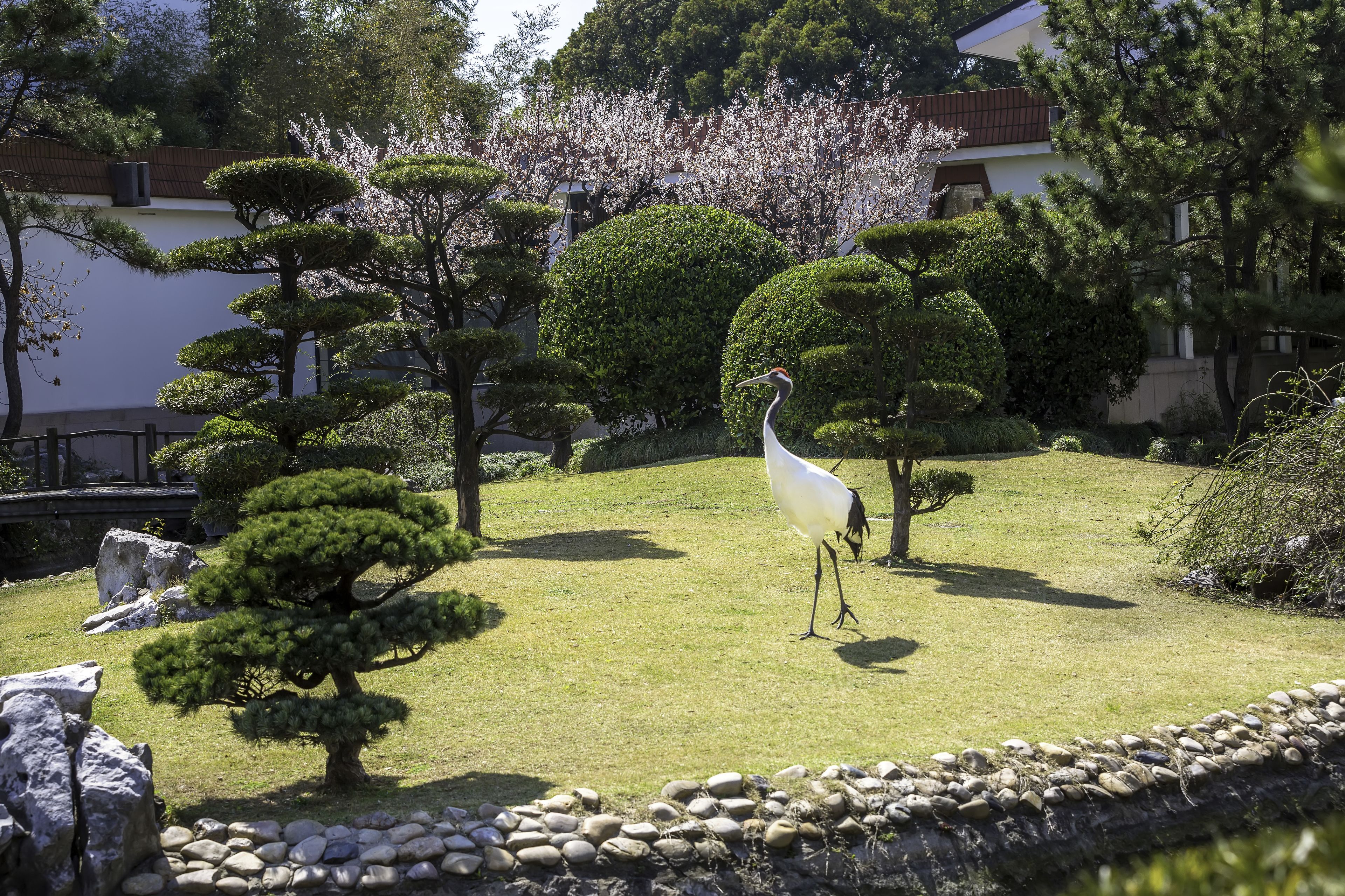 Foto - Xijiao State Guest Hotel