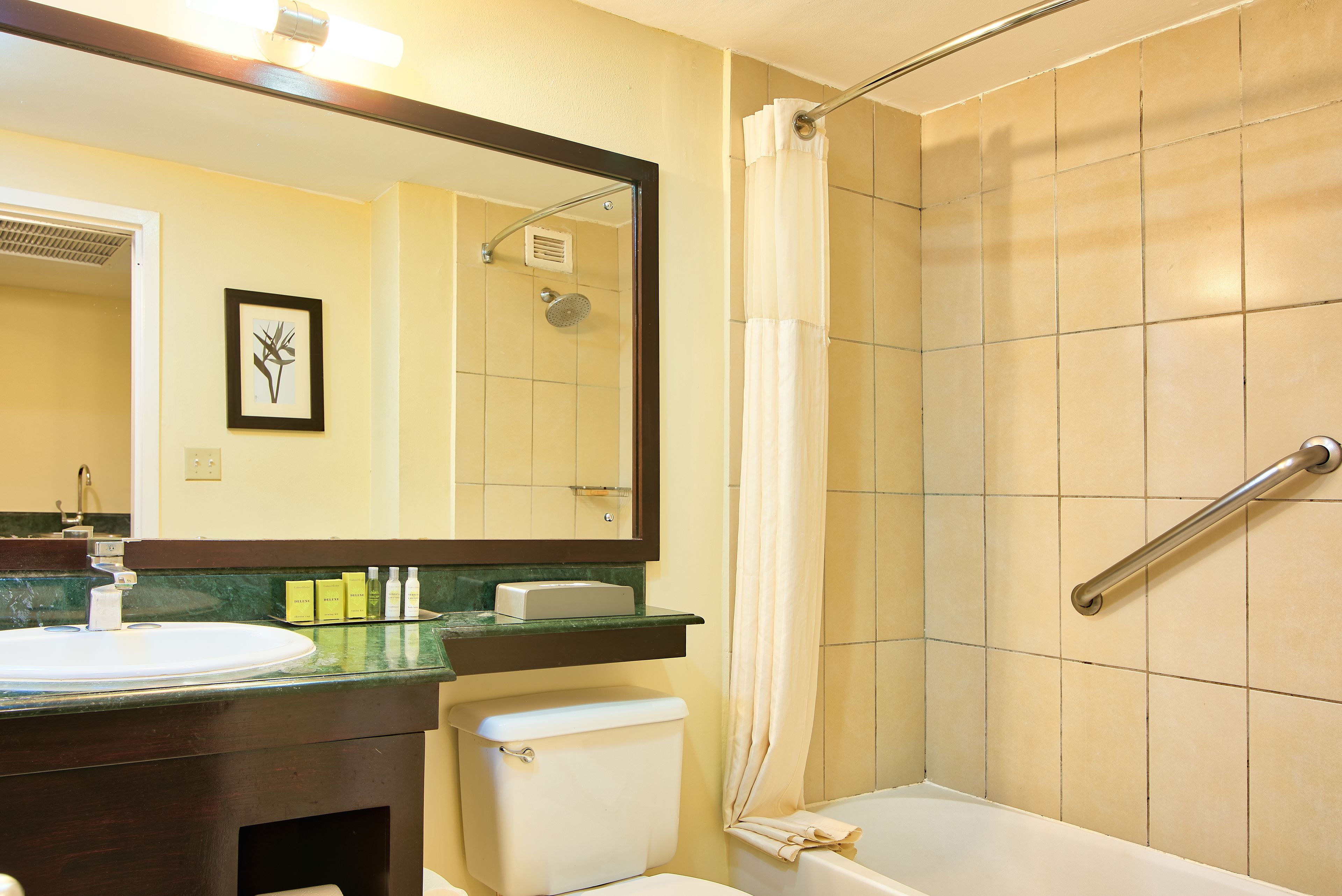 A bathroom with a sink, toilet, shower, and a mirror.