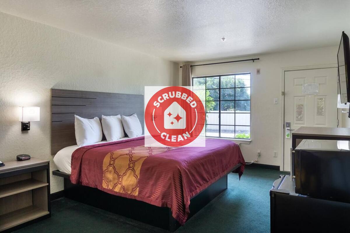 Une chambre d’hôtel avec un lit, une table de chevet, un bureau, une télévision et une fenêtre donnant sur des arbres.