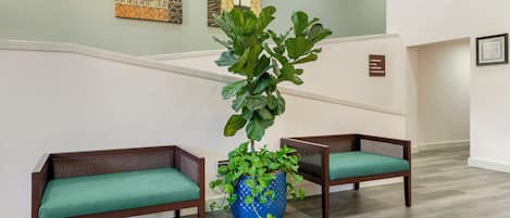 A reception area with a staircase, two wooden chairs with green cushions, and a large potted plant.