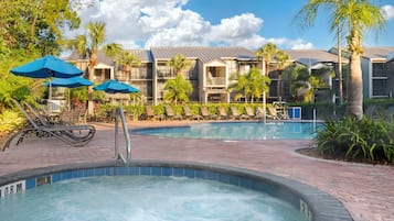 Outdoor pool, sun loungers