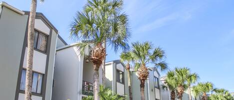A row of modern multi-story buildings with palm trees and tropical plants in front.