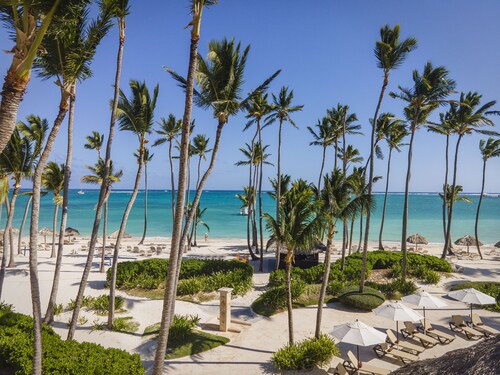 Hyatt Vivid Punta Cana - All Inclusive - Adults Only