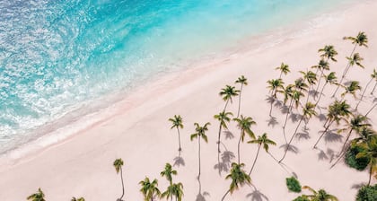 Hyatt Vivid Punta Cana - All Inclusive - Adults Only