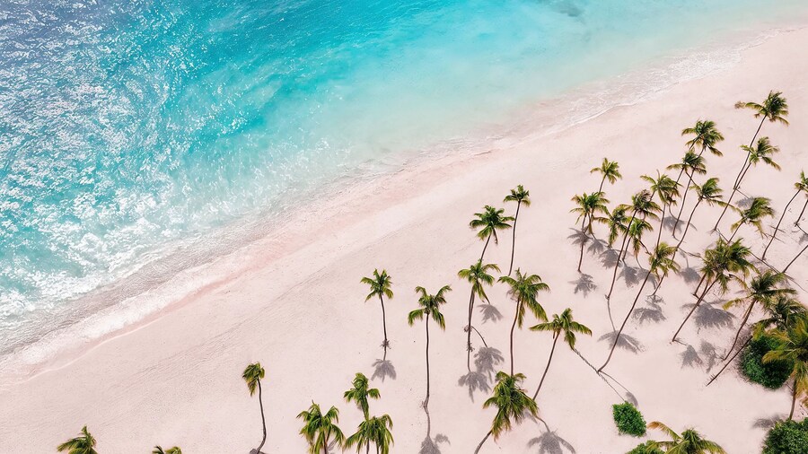 Hyatt Vivid Punta Cana - All Inclusive - Adults Only