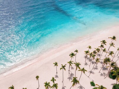 Hyatt Vivid Punta Cana - All Inclusive - Adults Only