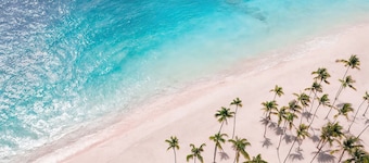 Hyatt Vivid Punta Cana - All Inclusive - Adults Only