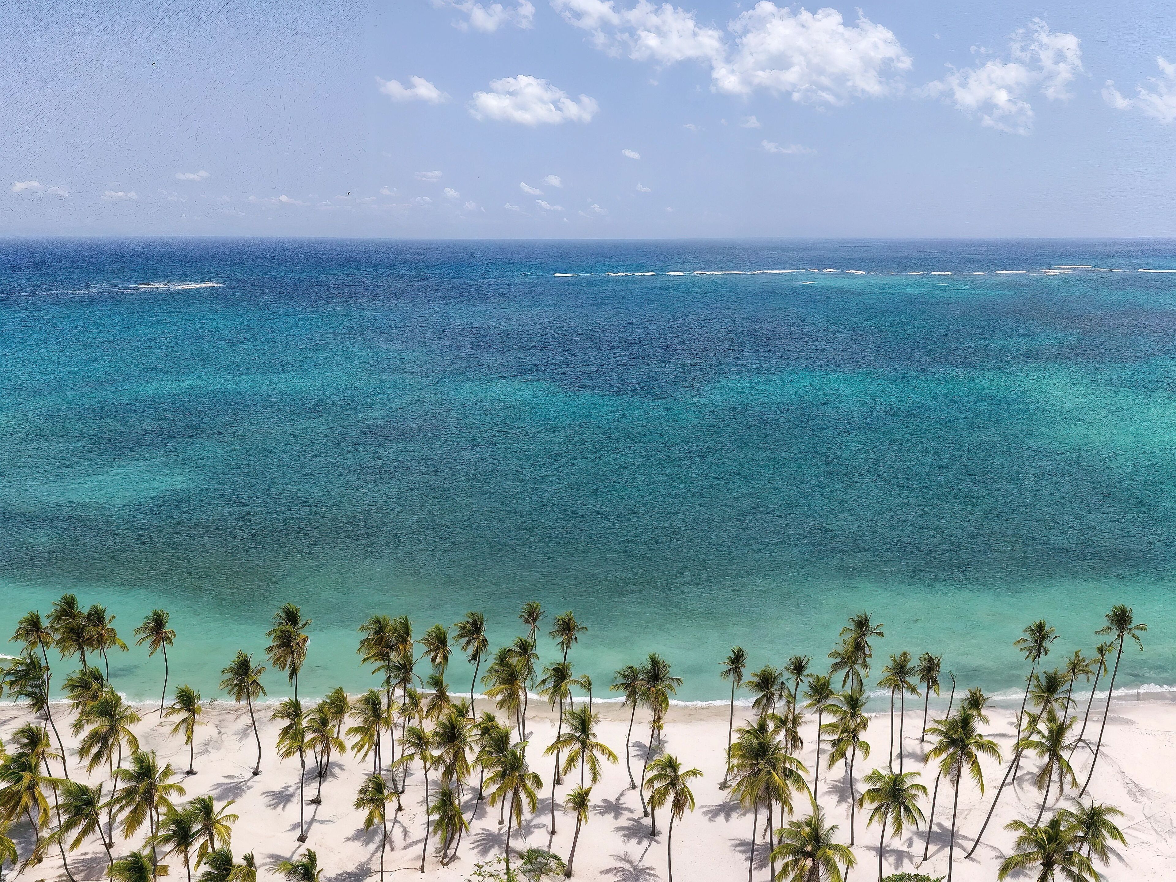 A beach with clear turquoise waters and palm trees.