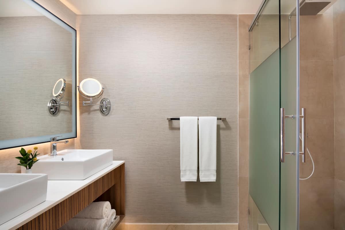 Suihku, ilmaiset hygieniatuotteet, hiustenkuivaaja, pyyhkeet