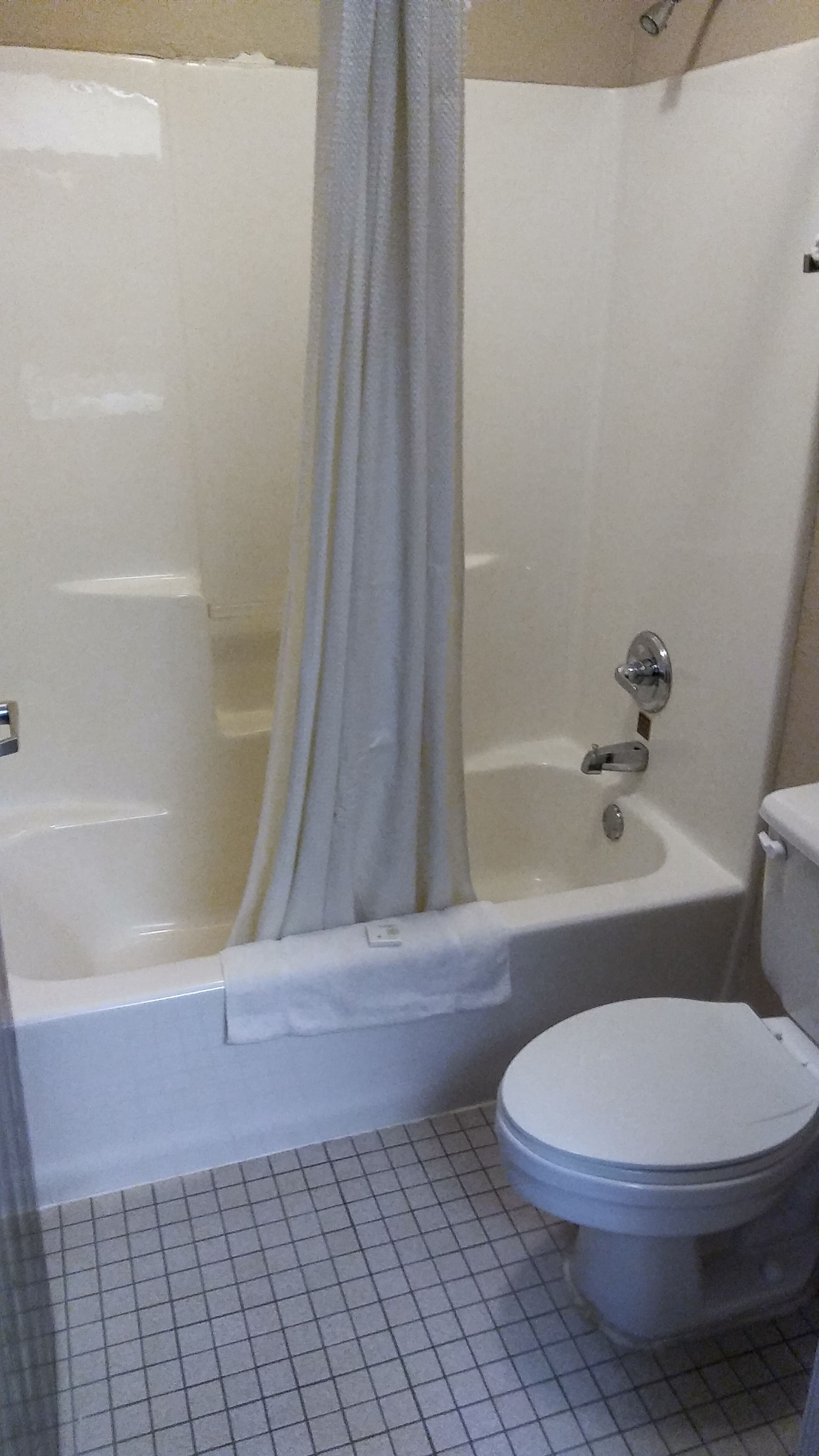 Un bagno con vasca, WC e tenda da doccia.