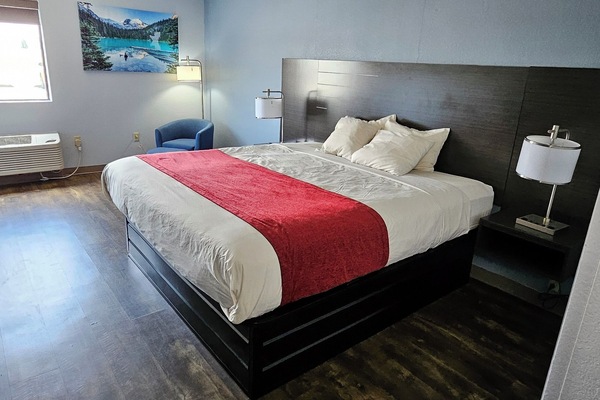 Classic Room, 1 King Bed | Down comforters, desk, laptop workspace, blackout drapes
