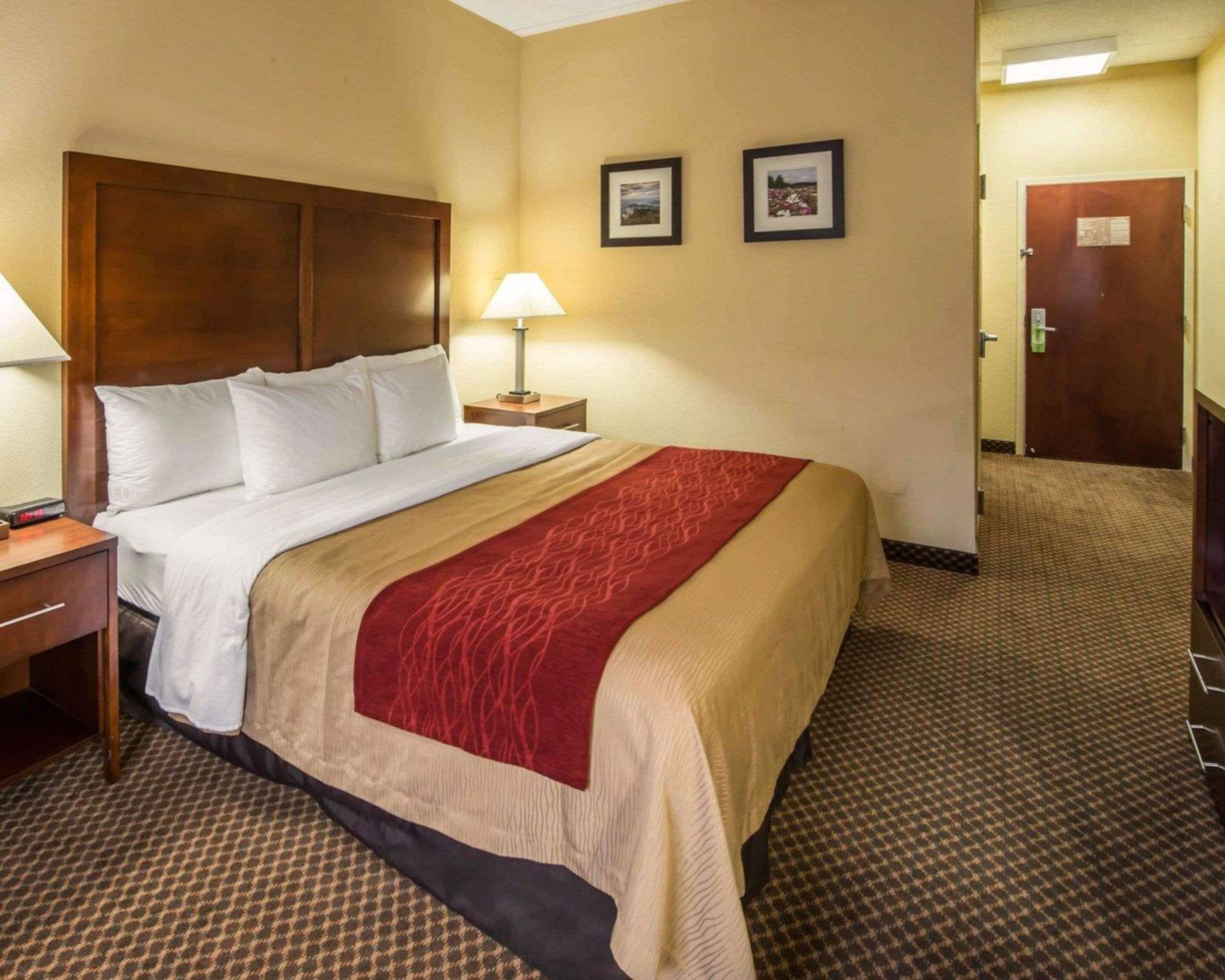 A hotel room with a large bed, a nightstand, a lamp, and a door.