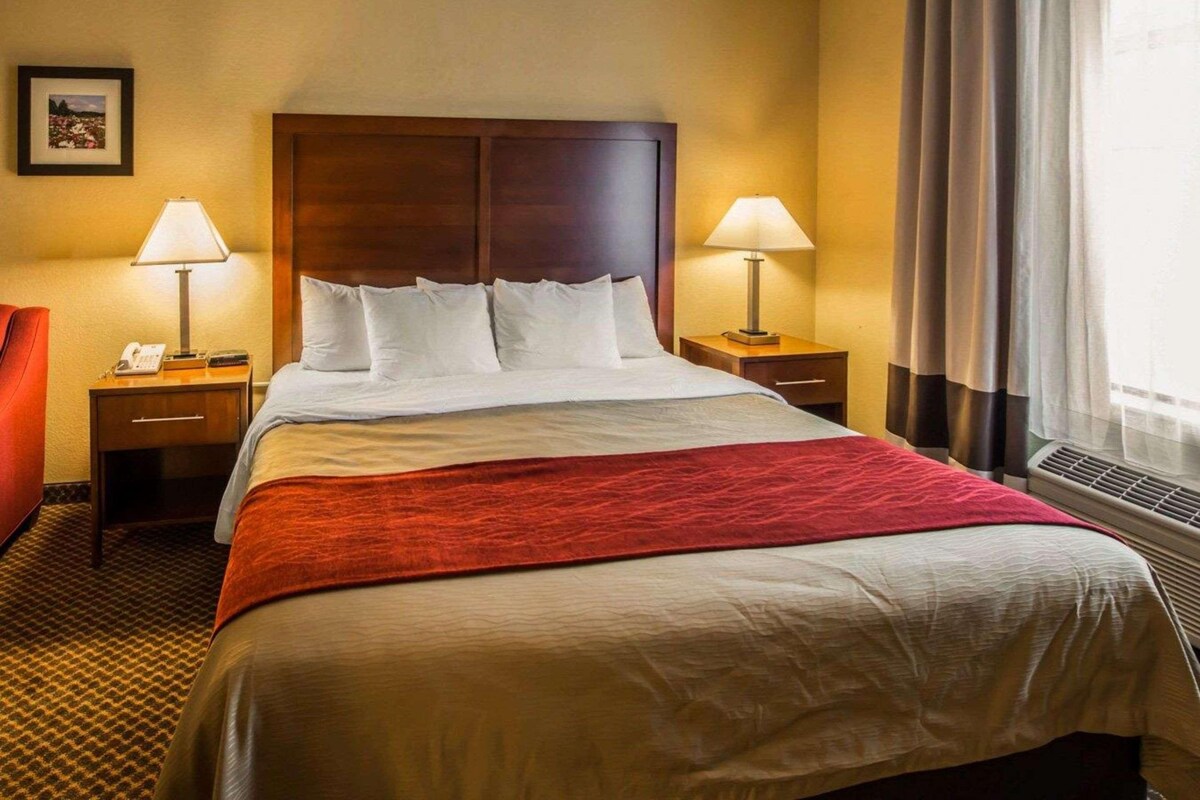 Habitación de hotel con una cama grande, dos mesitas de noche con lámparas, una manta roja, un cuadro en la pared y una ventana con cortinas.