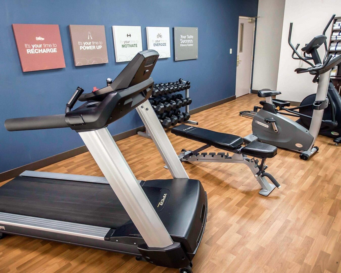 A gym with treadmills, ellipticals, and dumbbells.