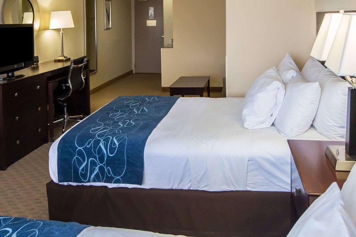 hypo-allergenic bedding, in-room safe, desk, iron/ironing board