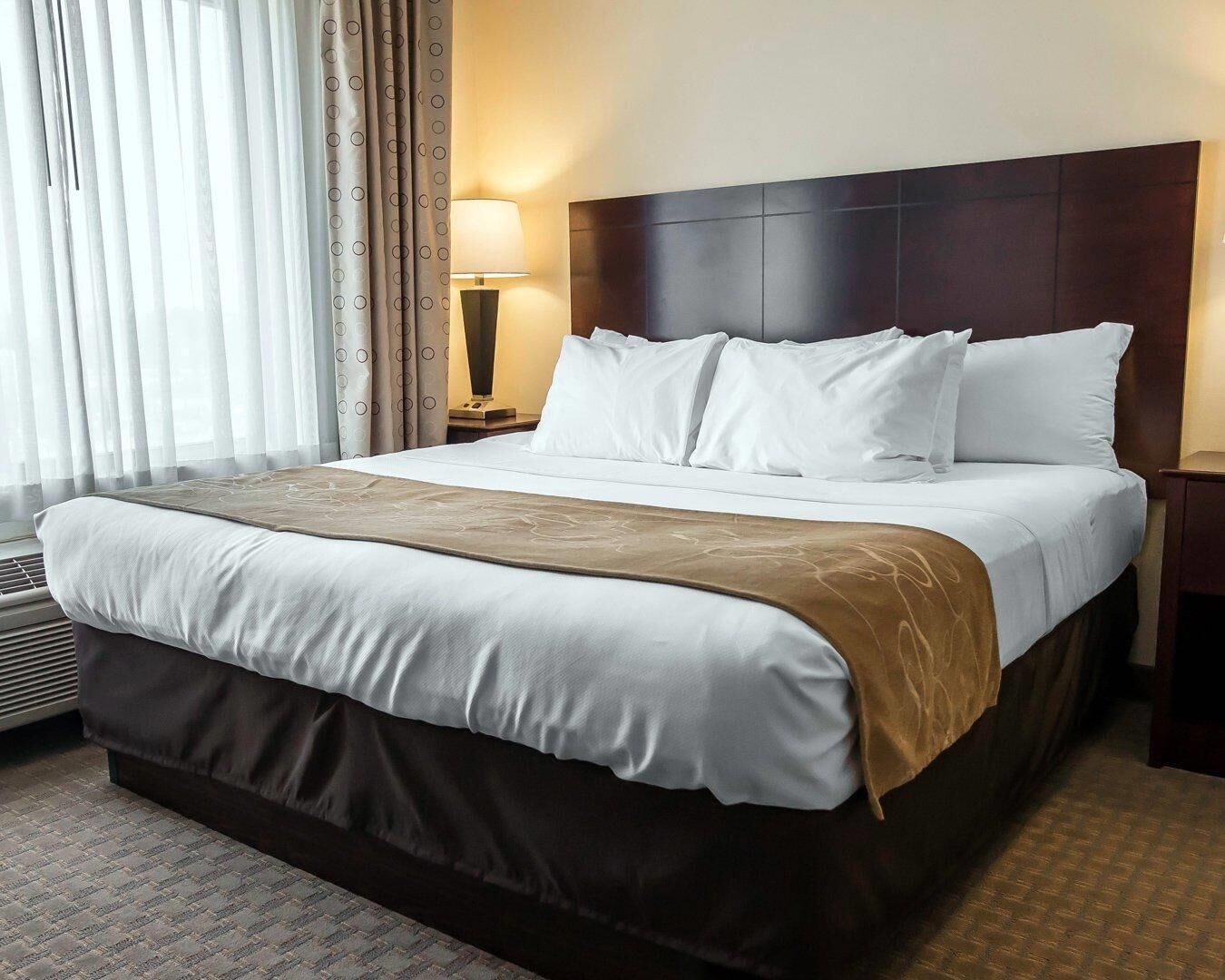 Suite, 1 King Bed with Sofa bed, Non Smoking (Pet Friendly) | Hypo-allergenic bedding, in-room safe, desk, iron/ironing board