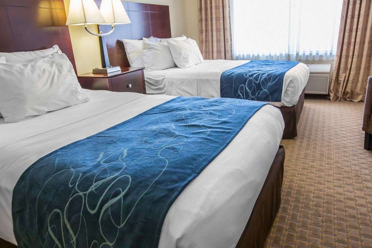 hypo-allergenic bedding, in-room safe, desk, iron/ironing board